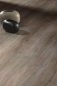 Preview: eiche
